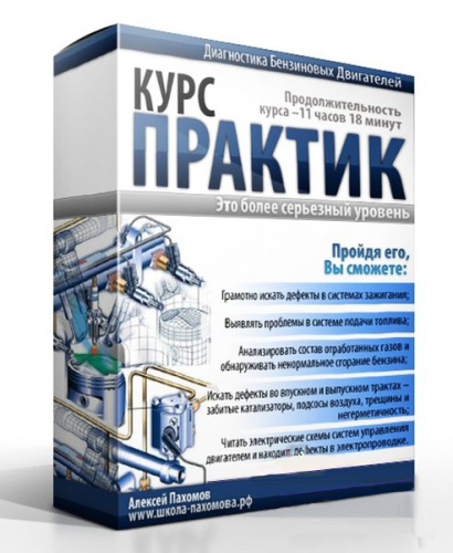 Реальные неисправности бензиновых двигателей: Практический курс автодиагноста